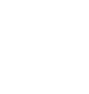 White Fingerprint