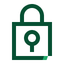 Security icon