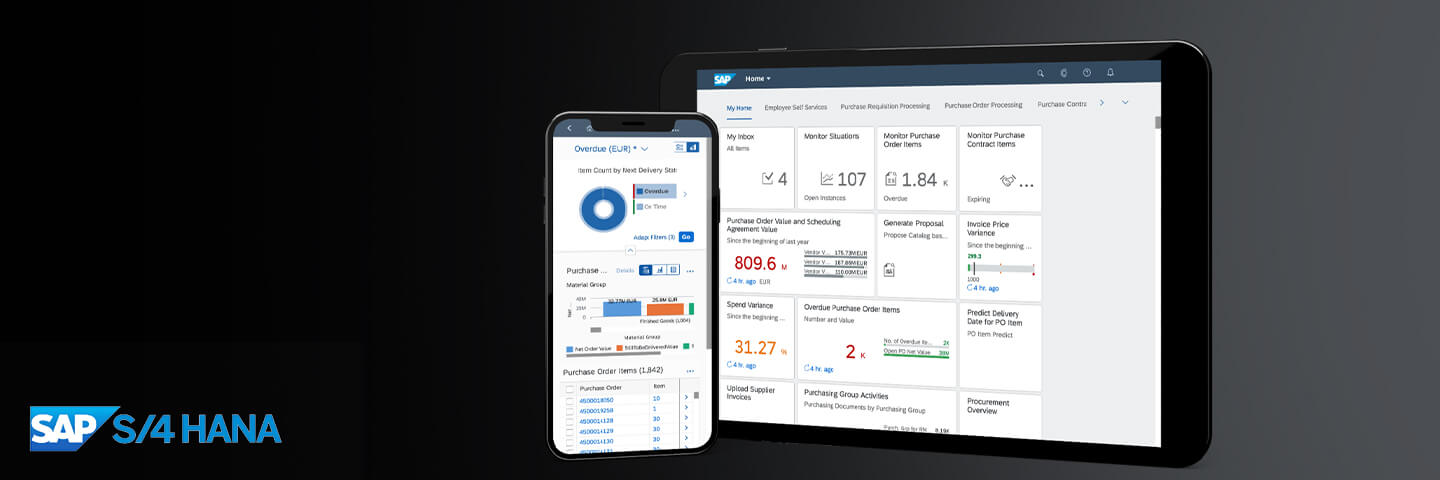 Installation Sap S 4hana Software Und Infrastruktur Aus Einer Hand