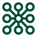 Network Icon